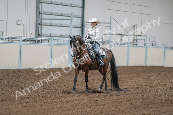 2020 - AB Morgan Horse - Sat, Sept 05 - 09002