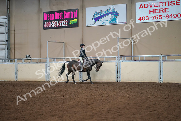 2019 Morgan Horse Show - Aug 30, 2019 - 12469