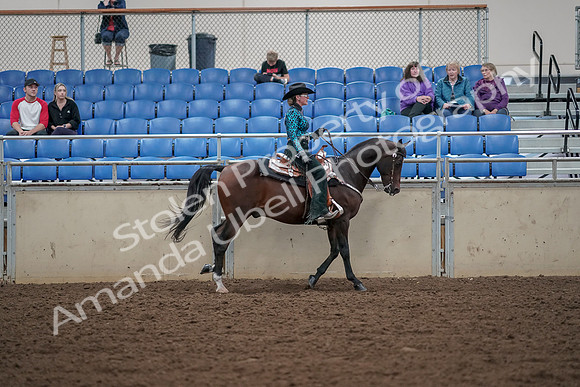 2019 Morgan Horse Show - Aug 30, 2019 - 26190