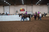 2019 Morgan Horse Show - Aug 31, 2019 - 18878