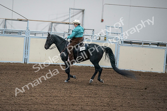 2020 - AB Morgan Horse - Fri, Sept 04 - 00591