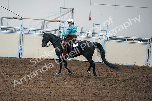 2020 - AB Morgan Horse - Fri, Sept 04 - 00590