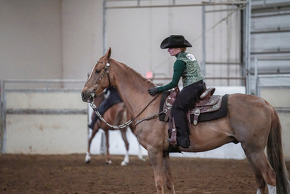 Spring Fling - Saturday - April 20, 2019  -  03892