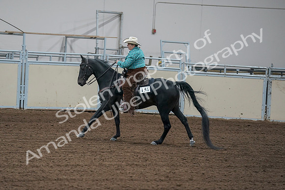 2020 - AB Morgan Horse - Fri, Sept 04 - 00468