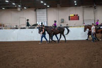 2019 Morgan Horse Show - Aug 31, 2019 - 18887