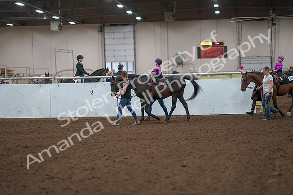 2019 Morgan Horse Show - Aug 31, 2019 - 18887