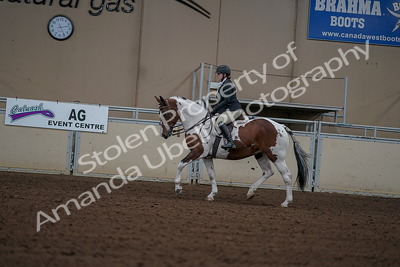 2019 Morgan Horse Show - Aug 30, 2019 - 14906
