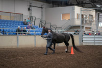 2019 Morgan Horse Show - Aug 31, 2019 - 02104