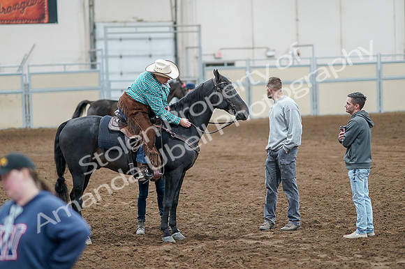 2020 - AB Morgan Horse - Fri, Sept 04 - 00659
