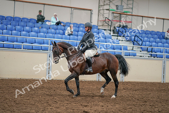 2020 - AB Morgan Horse - Sat, Sept 05 - 14467