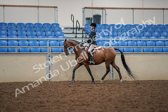 2019 Morgan Horse Show - Aug 30, 2019 - 23355