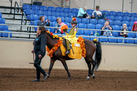 2020 - AB Morgan Horse - Sat, Sept 05 - 05773