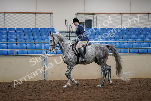 2019 Morgan Horse Show - Aug 30, 2019 - 22278