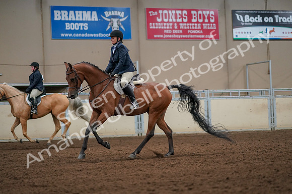 2019 Morgan Horse Show - Aug 30, 2019 - 22435
