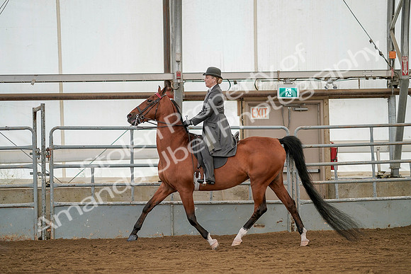 July 20, 2019 - 02050