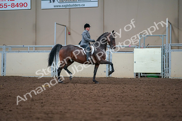 2019 Morgan Horse Show - Aug 30, 2019 - 20934