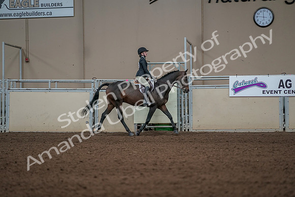 2019 Morgan Horse Show - Aug 31, 2019 - 05163