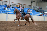 2020 - AB Morgan Horse - Fri, Sept 04 - 06247