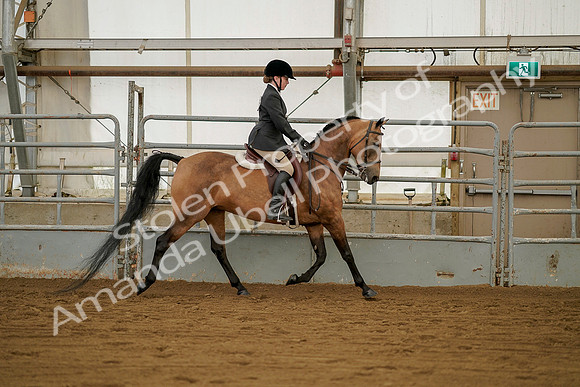 July 20, 2019 - 01564