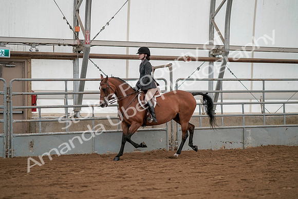 July 19, 2019 - 2438