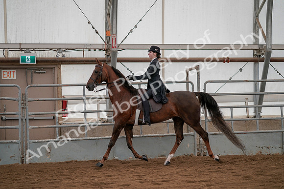 July 19, 2019 - 3008