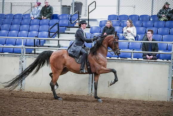 Spring Fling - Saturday - April 20, 2019  -  00817