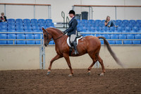 2019 Morgan Horse Show - Aug 30, 2019 - 16010