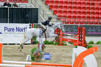dapple grey w snip female rider
