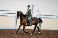 2020 - AB Morgan Horse - Fri, Sept 04 - 03297