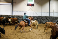 Herd Work - Open Bridle