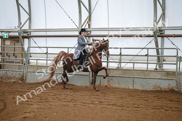 July 20, 2019 - 17102