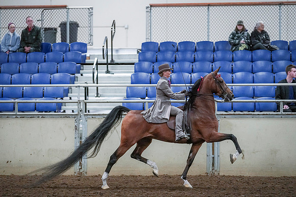 Spring Fling - Saturday - April 20, 2019  -  00574
