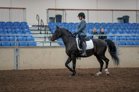 2019 Morgan Horse Show - Aug 31, 2019 - 07164