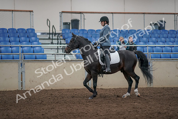 2019 Morgan Horse Show - Aug 31, 2019 - 07164