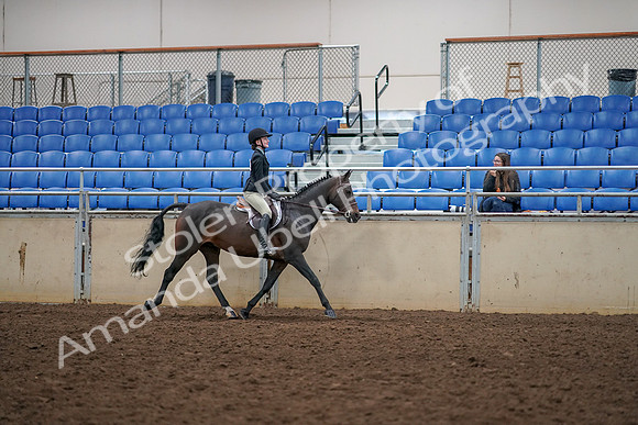 2019 Morgan Horse Show - Aug 30, 2019 - 12425