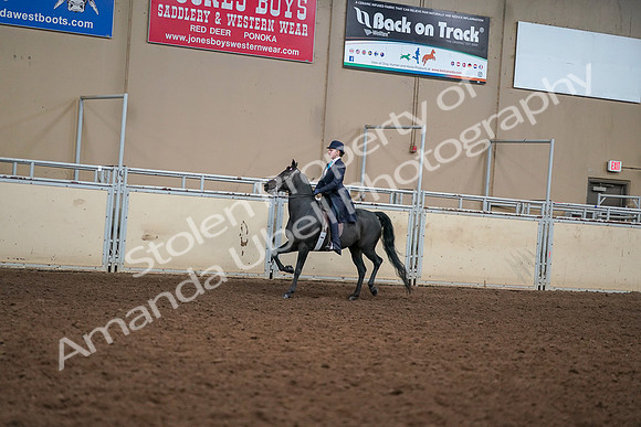 2019 Morgan Horse Show - Aug 30, 2019 - 12221