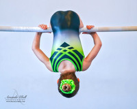 Fort Sask Gymnastics 2019 - Feb 17, 2019 - logo - 00114