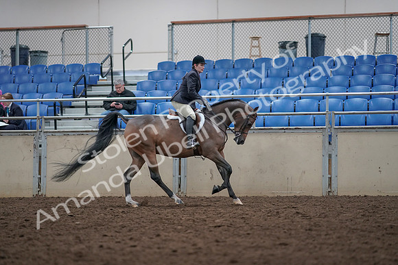 2019 Morgan Horse Show - Aug 31, 2019 - 16127