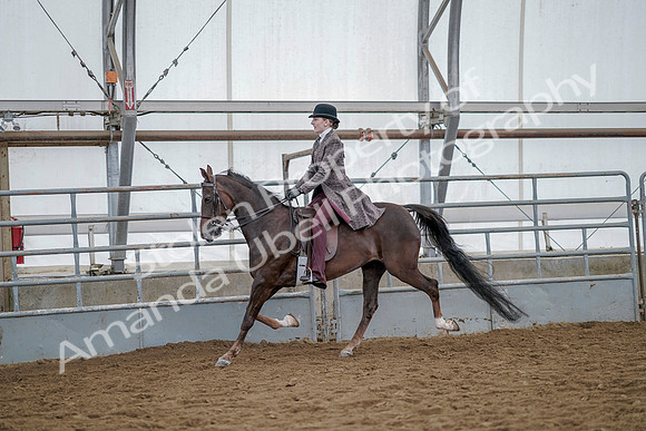 July 20, 2019 - 14629