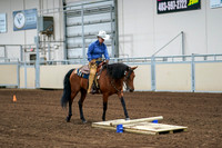 2020 - AB Morgan Horse - Fri, Sept 04 - 00226
