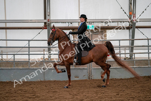 July 19, 2019 - 10320