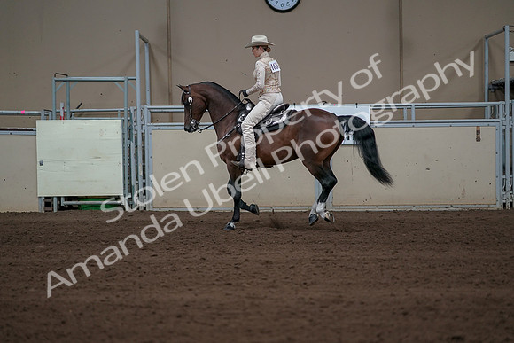 2019 Morgan Horse Show - Sept 01, 2019 - 06967