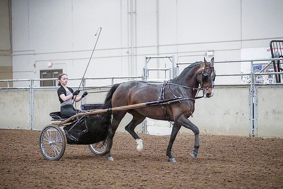 Spring Fling - Saturday - April 20, 2019  -  00299