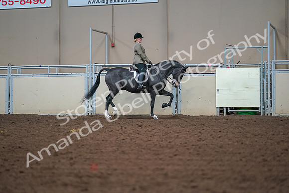 2019 Morgan Horse Show - Aug 30, 2019 - 20716