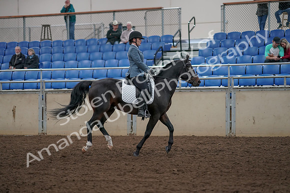 2019 Morgan Horse Show - Aug 31, 2019 - 07507