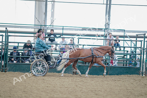 July 21, 2019 - 09068