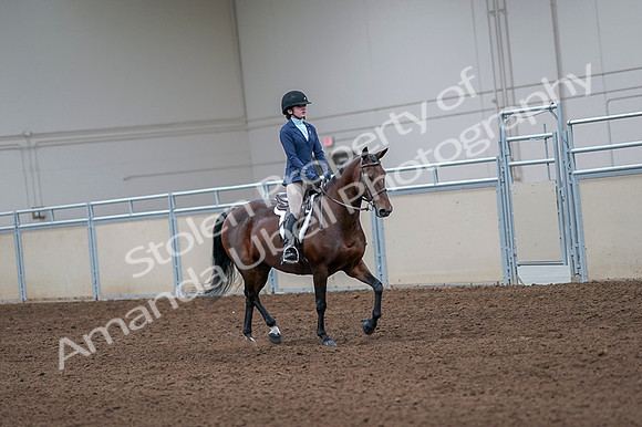 2020 - AB Morgan Horse - Fri, Sept 04 - 06058