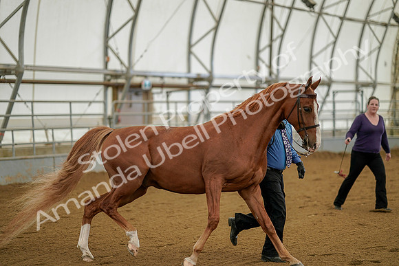 July 19, 2019 - 905