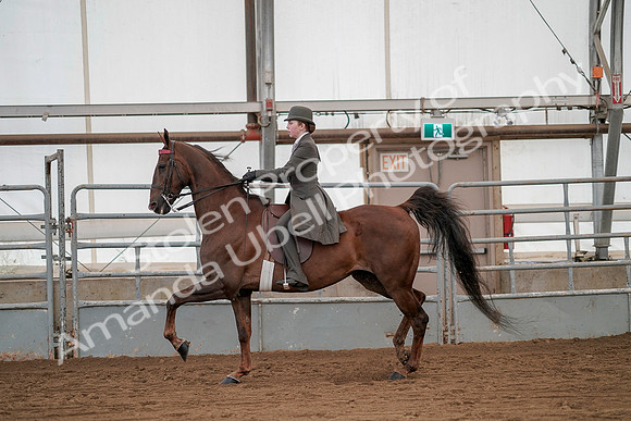 July 20, 2019 - 02026