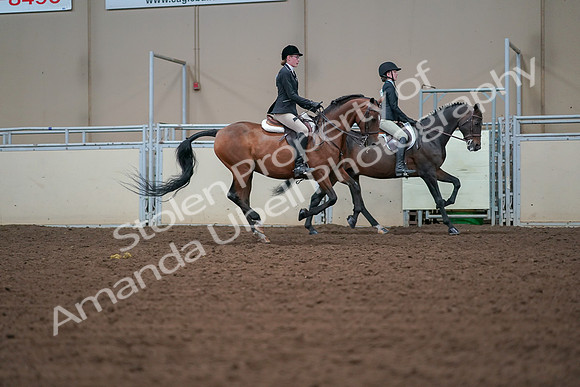2019 Morgan Horse Show - Aug 30, 2019 - 21006
